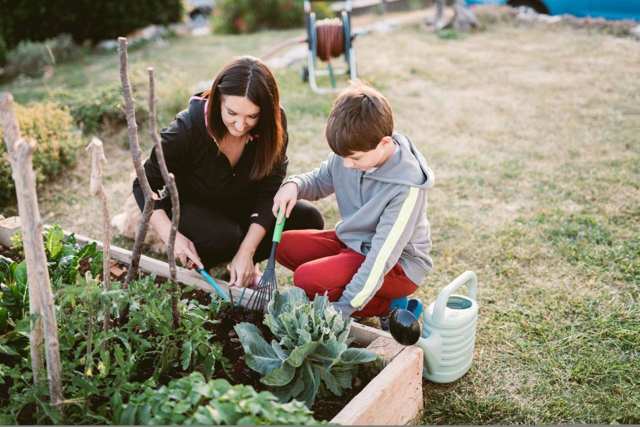 Przydomowy ogródek warzywny – od czego zacząć?