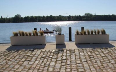 Donice betonowe – praktyczny przewodnik po donicach ogrodowych